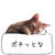 せみ騒動