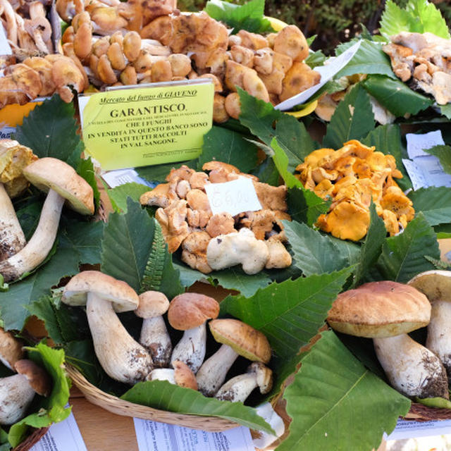 Festa del Fungo a Giaveno 2015 イタリアの秋の恵み🍁"ジャヴェーノのキノコ祭り"
