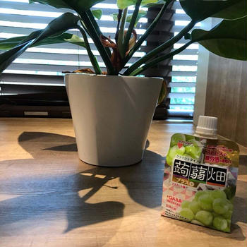 ストレスや疲労感が気になる方に！「クラッシュタイプの蒟蒻畑プラスマスカット味」