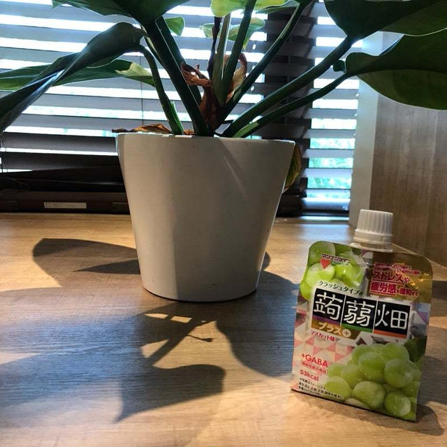ストレスや疲労感が気になる方に！「クラッシュタイプの蒟蒻畑プラスマスカット味」