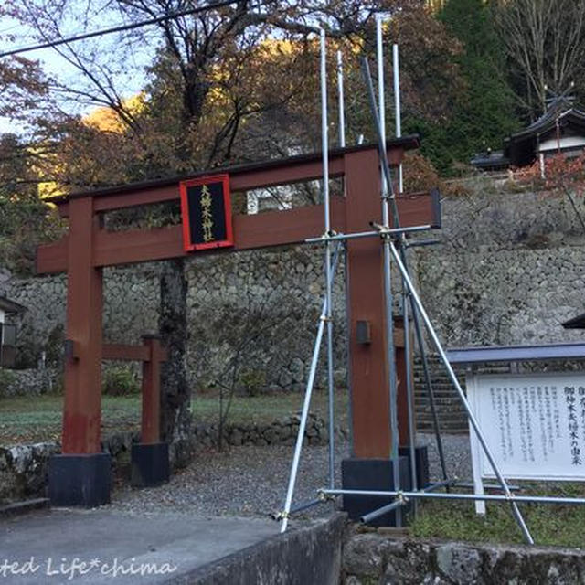 子宝・夫婦円満のご利益絶大！ 夫婦木神社