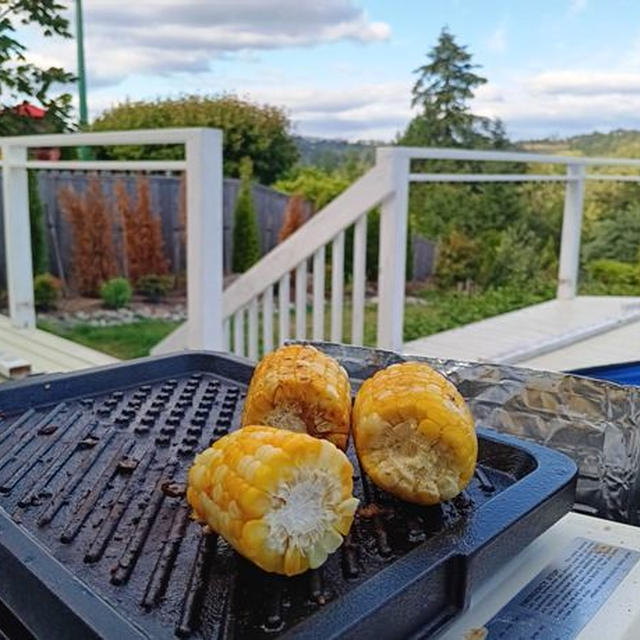 ８月なのに涼しくなりつつある ～ デッキで焼き肉だ！