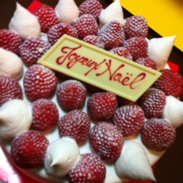 今年のクリスマスケーキ「アンダーズ」