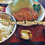 秋田ログ 2011年5月16日編 part.2