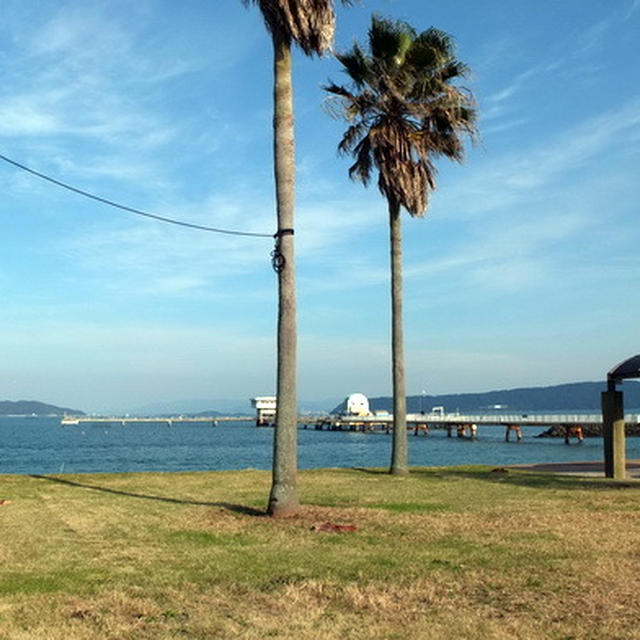 福岡・糸島のカキ小屋で唐泊恵比須カキを食べる！