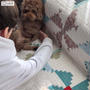 私のせいで、ダメな人間になっているのかも。