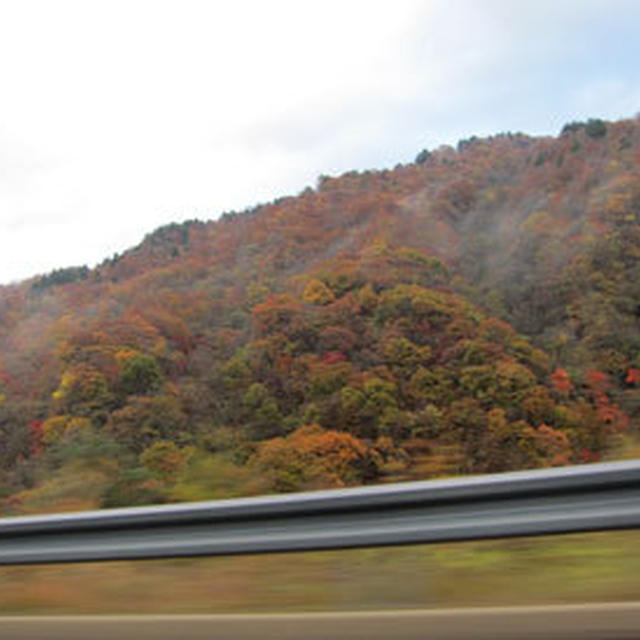 富山→名古屋な週末･･･