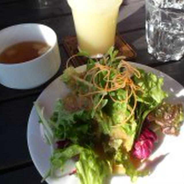 1/13　テニス＆ランチ