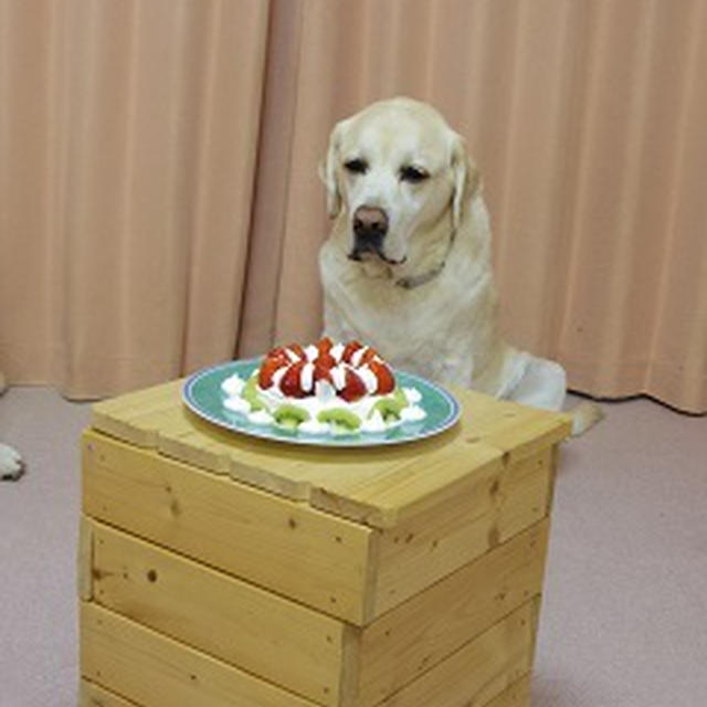 *僕、11歳になりました！！*