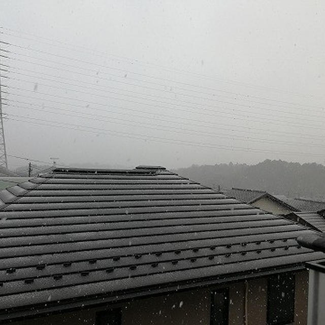 名残雪　名残の雪　なごり雪　で今は雨... 
