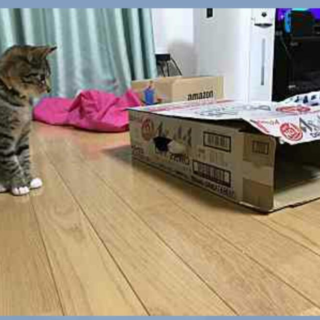 ゼロくん正式譲渡