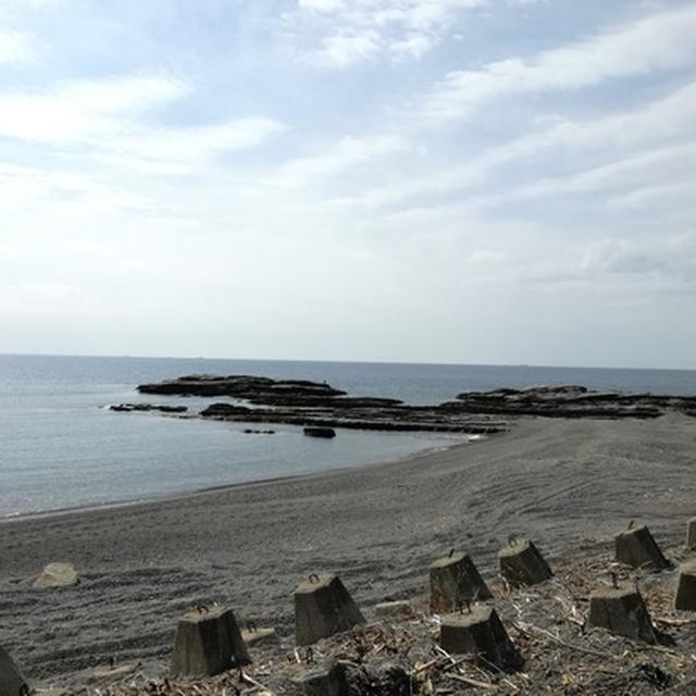 暖かい梅の花見日より、白浜ので・・・