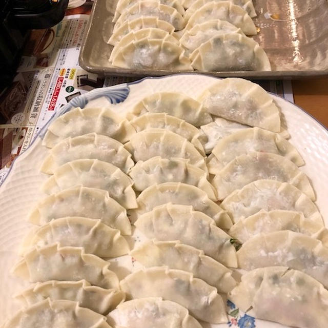 餃子の日♡春雨サラダ