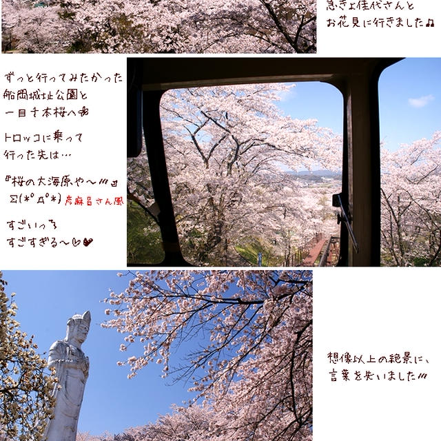■ひと目で千本の桜■
