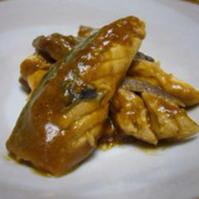 鯖のカレー味噌煮 de 男子飯