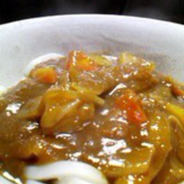 「おろし大根入りのカレーうどん」