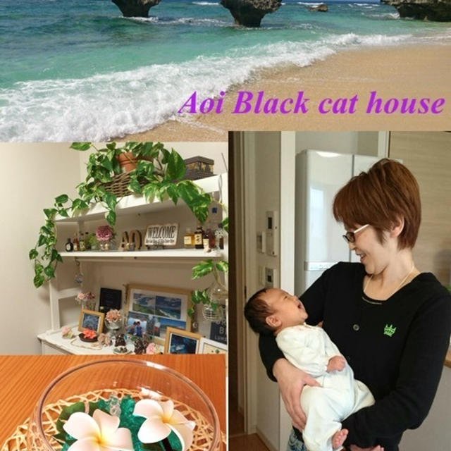 7月 cooking circle ご予約開始