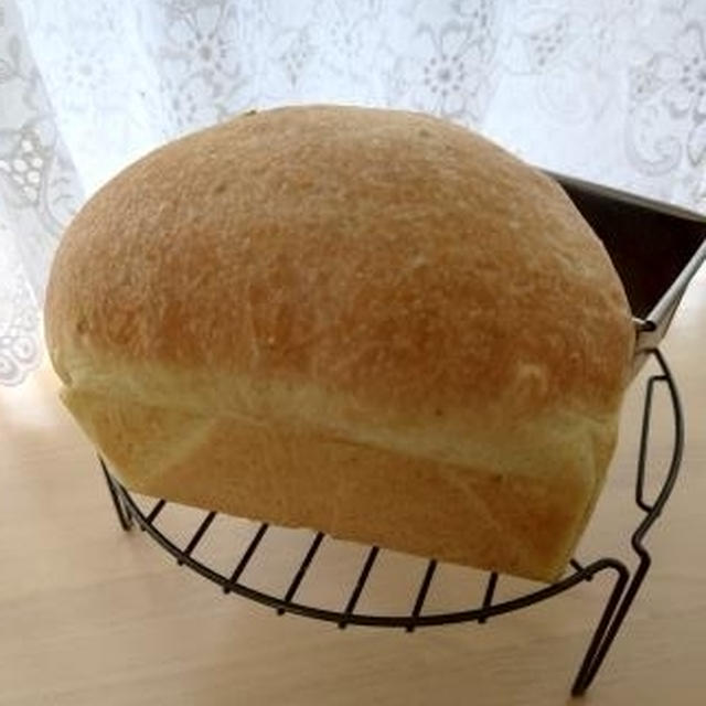 塩麴かぼちゃ食パン♪