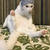 【猫】泥棒猫とたわむれるの巻 vol.182