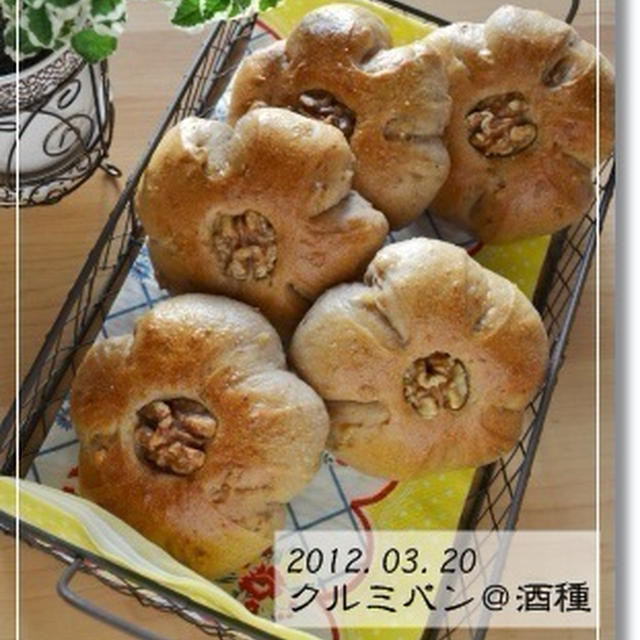 進歩なし…クルミパン＠酒種