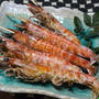 365日おつまみレシピ「クルマエビの塩焼き」
