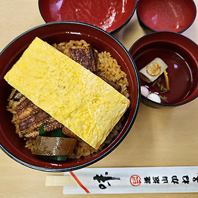 きんし丼