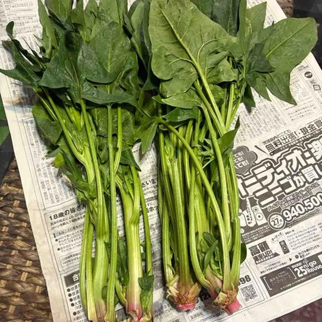 常夜鍋＆「とよんちのたまご」