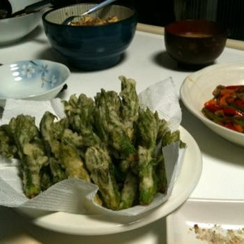 ウドの天ぷら