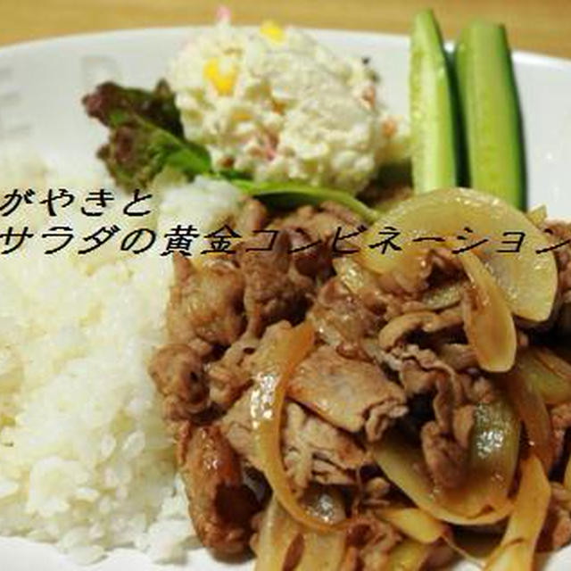 ショウガ焼きと買ってきたお惣菜