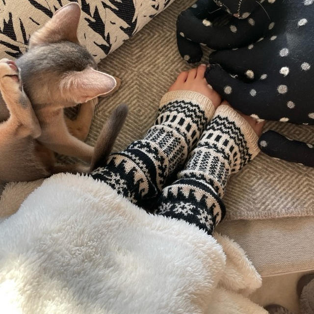 梨さんからの小包に、泣いた…(⸝⸝o̴̶̷᷄ o̴̶̷̥᷅⸝⸝)