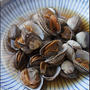 赤貝好き必見♪サルボウ貝のさっと煮レシピ。
