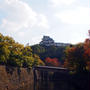 和歌山城の紅葉、銀杏並木の様子＠11月19日