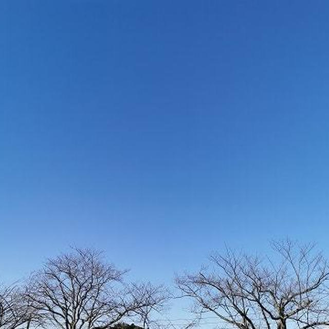 さむ～いさむ～い一日