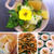 🌸おせちは着せ替えで何度も美味しい💕【簡単】華やか✨リメイクおせち4選(^^)🌸