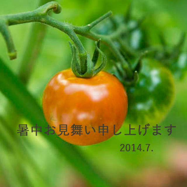 暑中お見舞い申し上げます