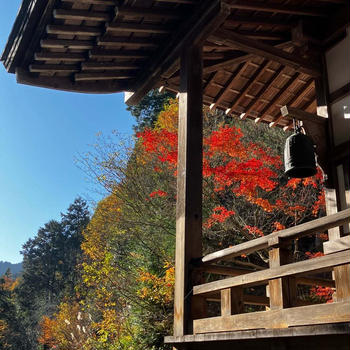 【間に合った紅葉＆間に合わなかった紅葉(T-T)】