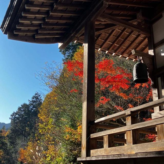【間に合った紅葉＆間に合わなかった紅葉(T-T)】
