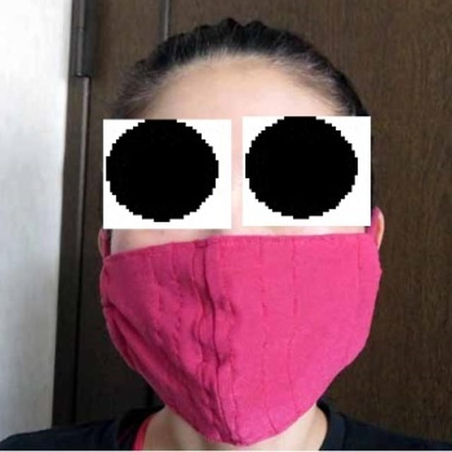 健康法師の夏用手作り立体マスク&アベノマスクが届いた