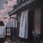 お花見　石橋屋　桜の名所