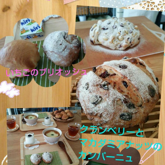クランベリーとマカダミアナッツのカンパーニュ