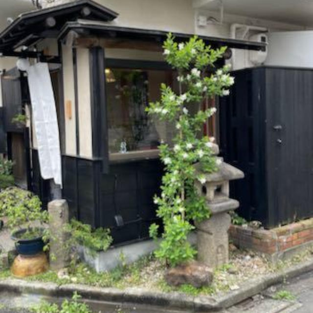 桜咲く日本へ出会いの旅＿②＿割烹でのランチ&娘家族と東京で会う　