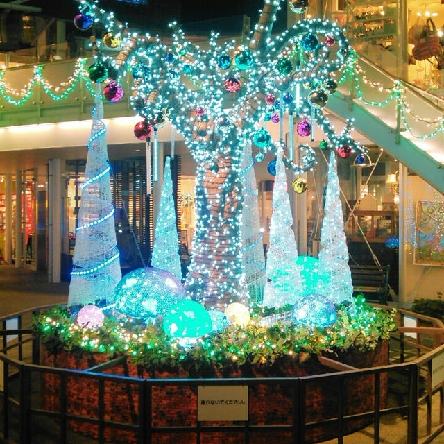 自由が丘で撮影したクリスマス☆