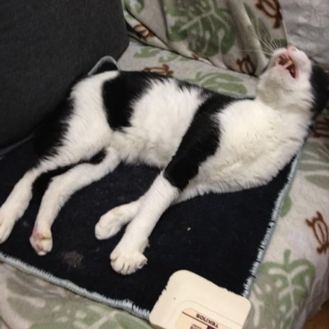 そらが代弁します