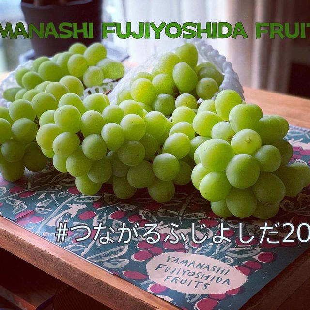 富士吉田市のふるさと納税★シャインマスカット