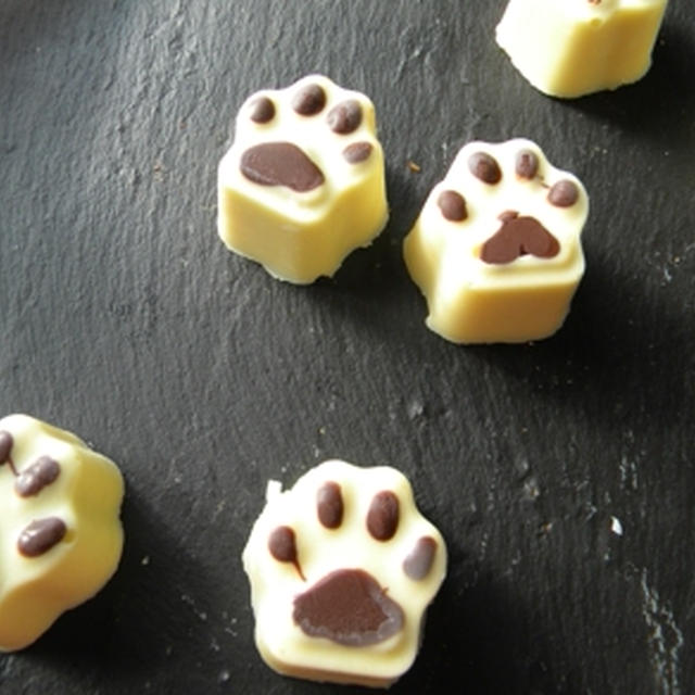 犬の肉球のチョコレート（テンパリング）の作り方
