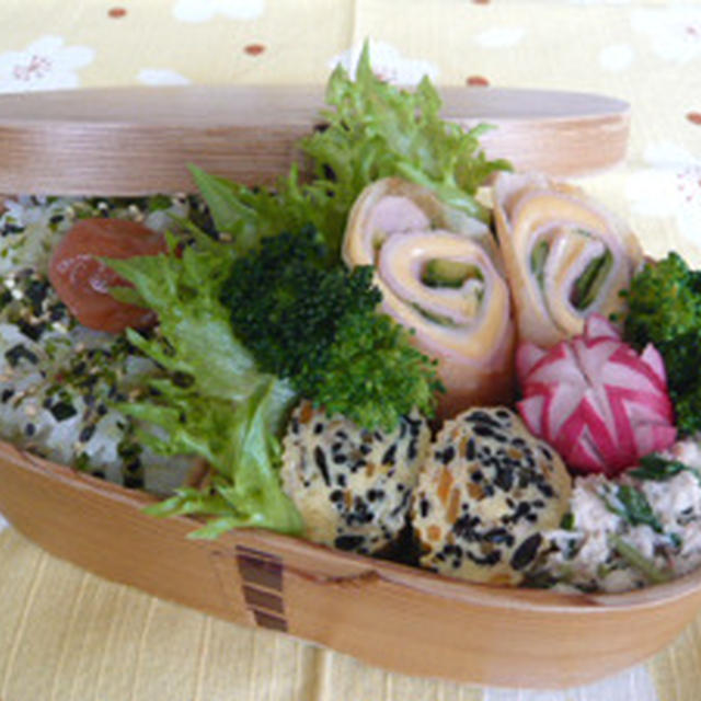 ハチキュウ春巻きのお弁当☆+゜