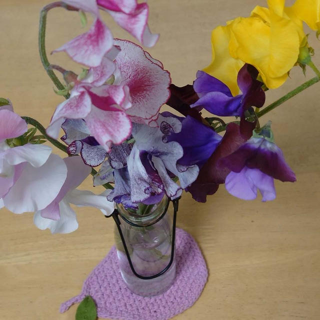ホワイトデーにスイトピーの花束とマドカズラ（観葉植物）