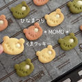 【レシピ】ひなまつりくまクッキー♡簡単３色クッキーの作り方紹介♡さくさく美味しいクッキーレシピだよ！ by chiyoさん