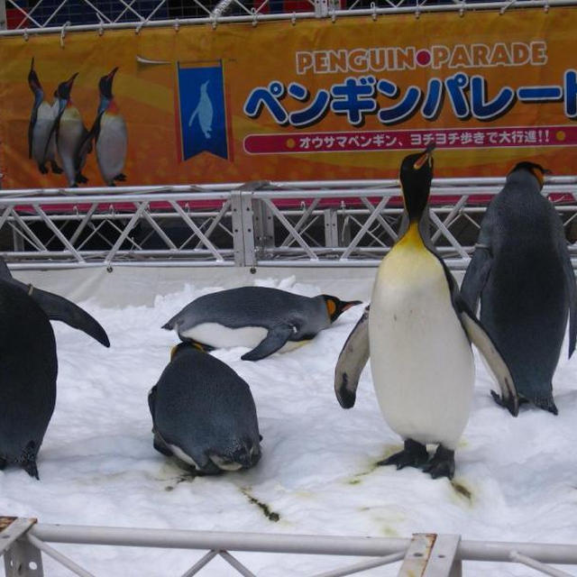 海遊館へ♪♪