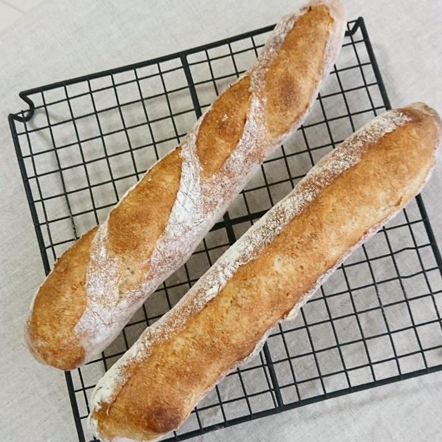 ＊今日のバケット＊